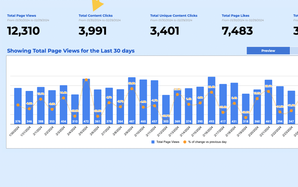 Facebook Insights Page Report